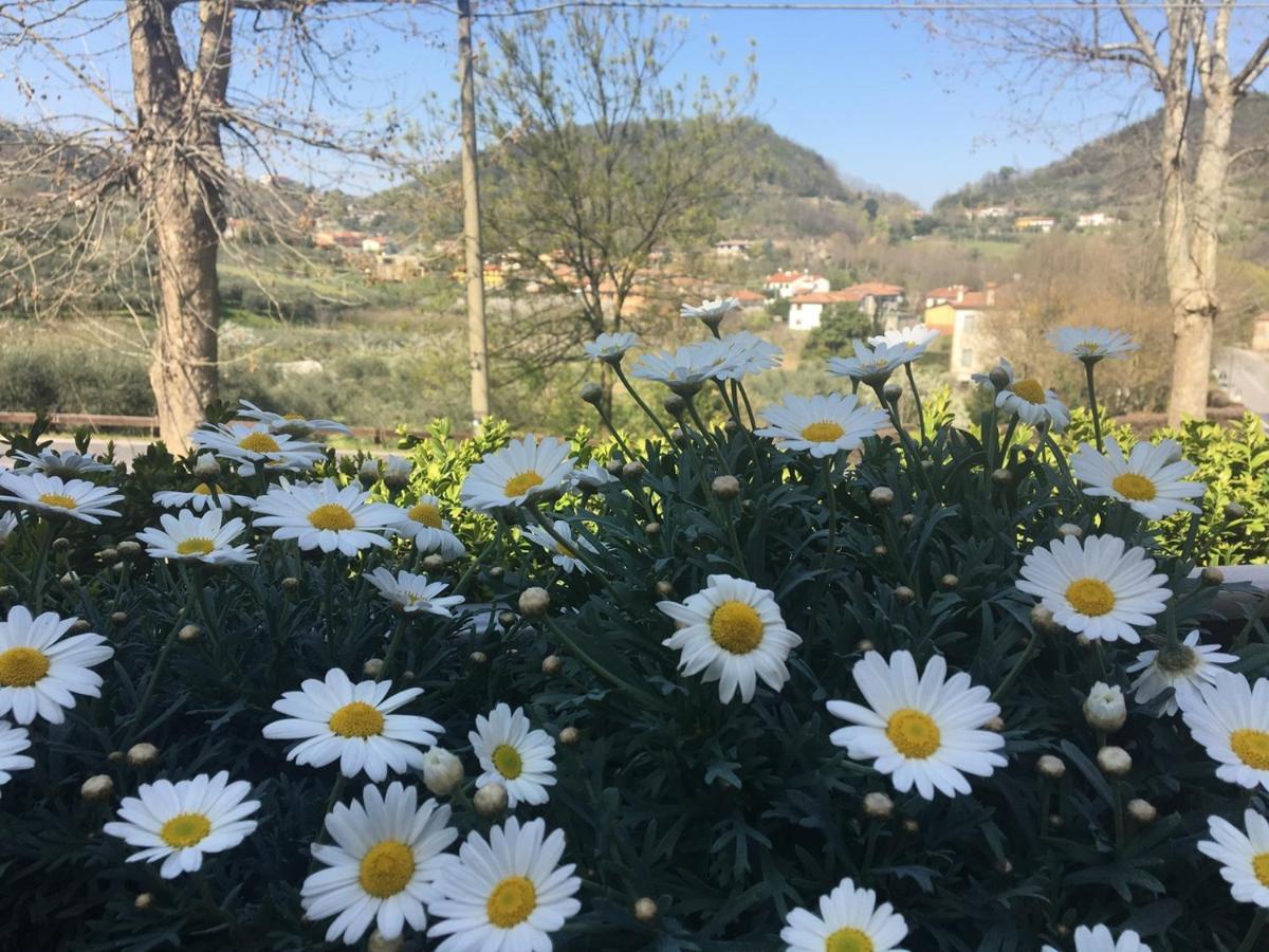 Belvedere Resort Ai Colli Galzignano Terme Екстериор снимка