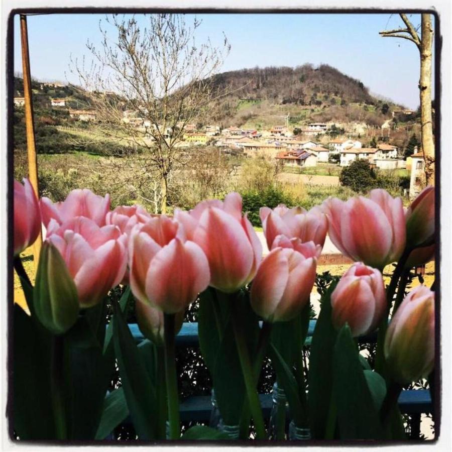Belvedere Resort Ai Colli Galzignano Terme Екстериор снимка